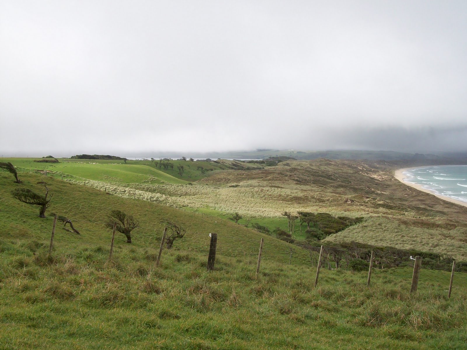 Diana's Occasional Blog Chatham Islands