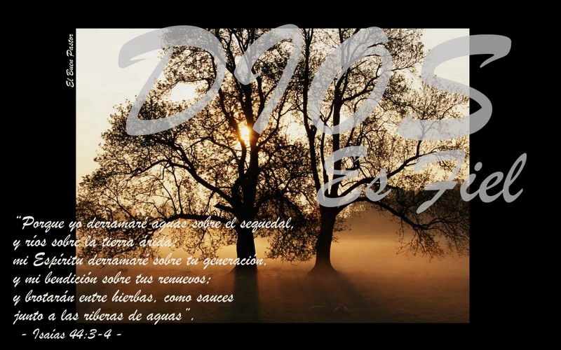 YO SOY EL BUEN PASTOR Isa as 44 3 4 yo-soy-el-buen-pastor-isa-as-44-3-4