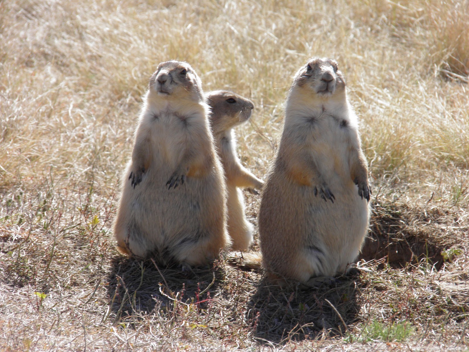 kizersanniversarytrip Devils Tower to the Badlands