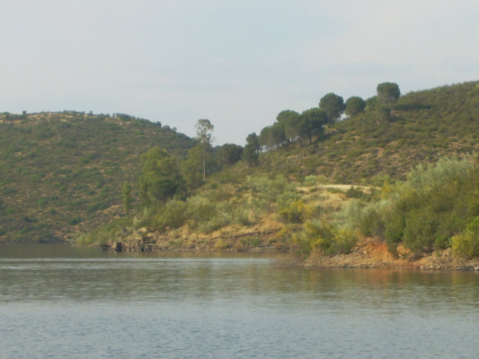 Mis propias cosas El Tamujuso, Baños de la Encina