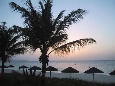 [MARIO+BIONDO+SUNSET.jpg]