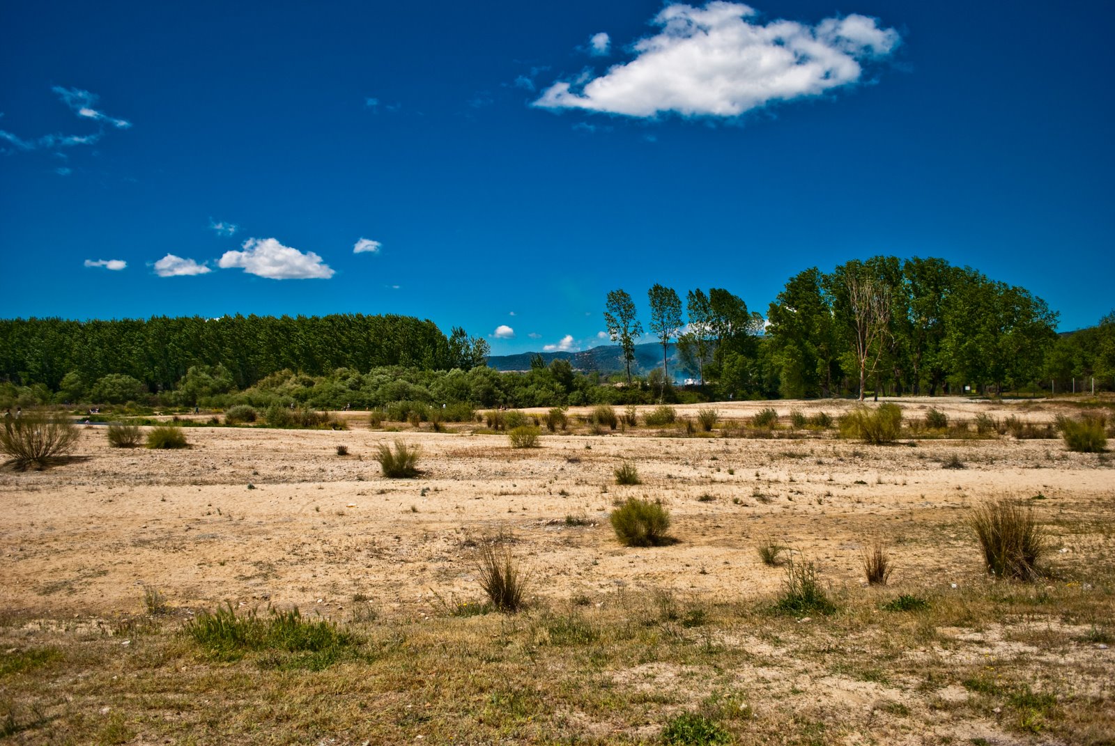 [DSC_0098.jpg]