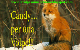 blog Candy per una Volpe di... "la Volpe Sonnacchiosa"