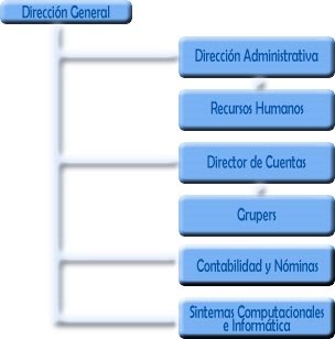 organizacion: ORGANIZACIÓN LINEAL O MILITAR