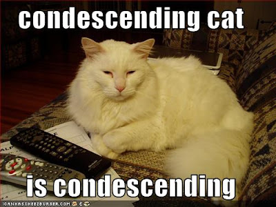 condescending+cat.jpg