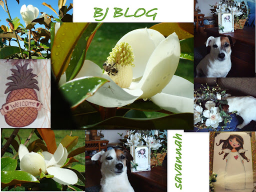 BJ's  Blog