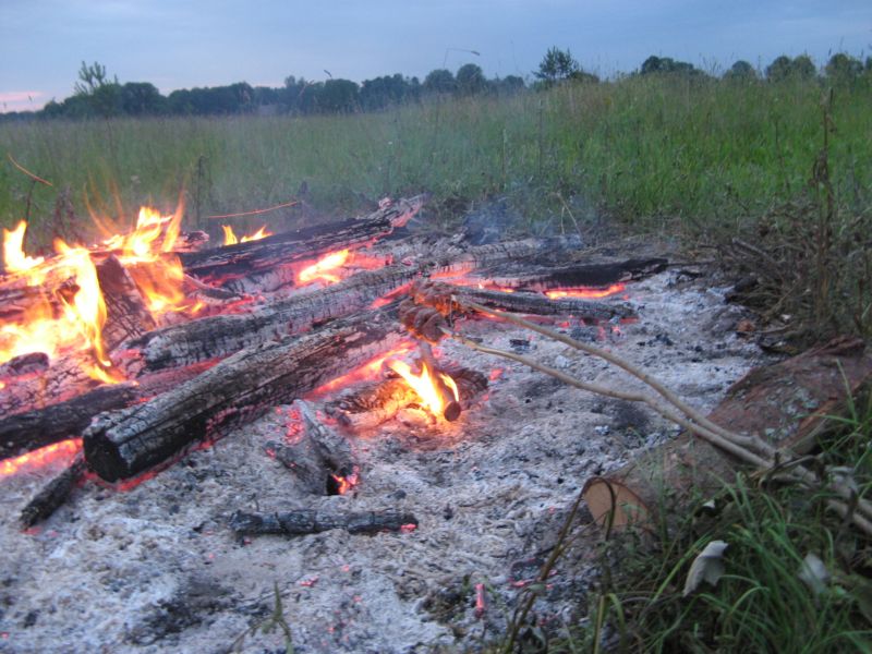 [Jaani6htu2007NAMINAMI2.JPG]