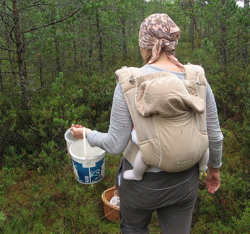 [Metsas3NAMINAMI.jpg]