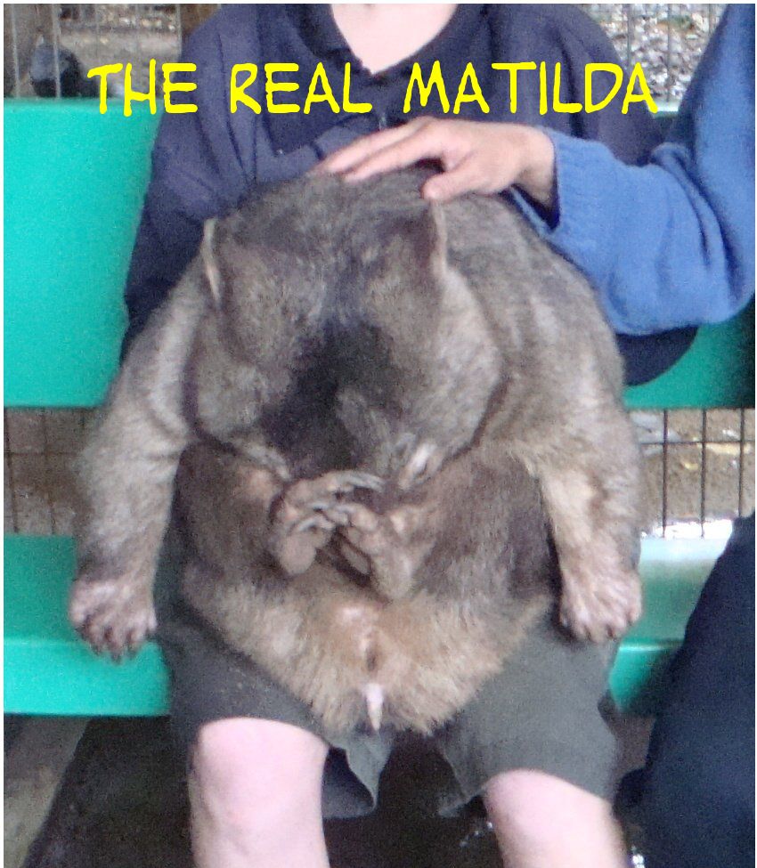 [day3e-Matilda.jpg]