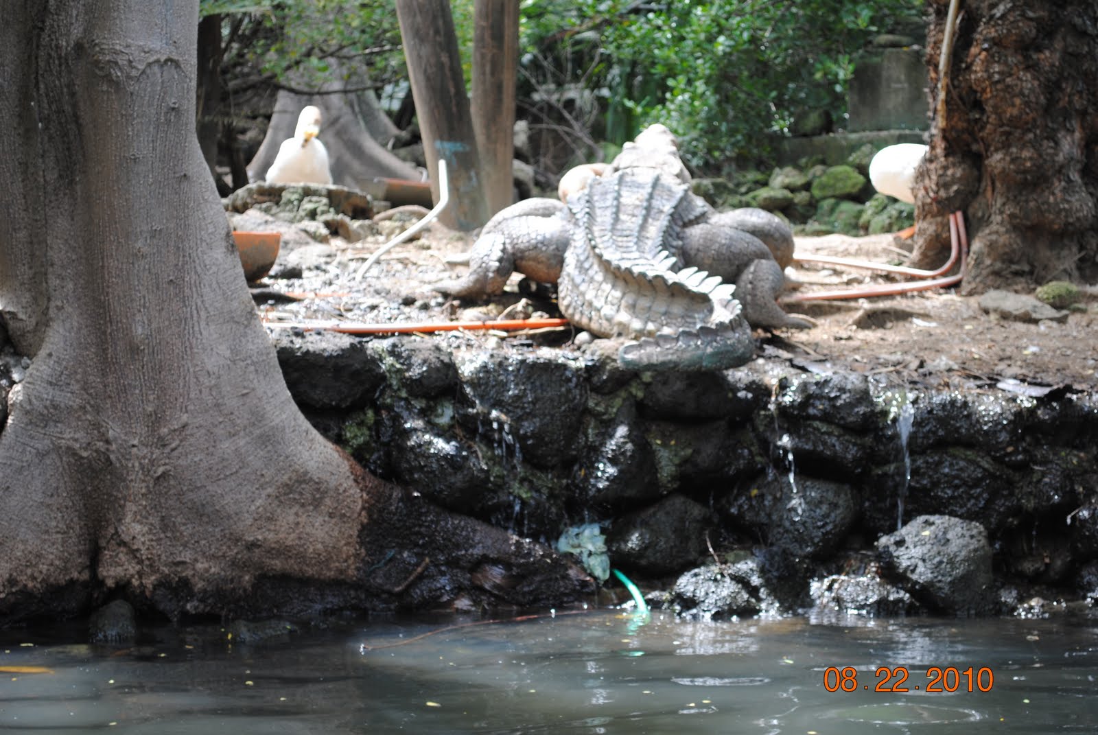 Mga Bulong Sa Likod Nitong MgaLente: Manila Zoo
