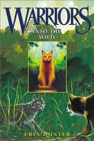 into the wild warriors series into the wild warriors series