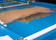 Wave Table, Meja Konsentrat Gravitasi Basah Kap 4-8 tph/tpj, 99% bebas bahan kimia berbahaya