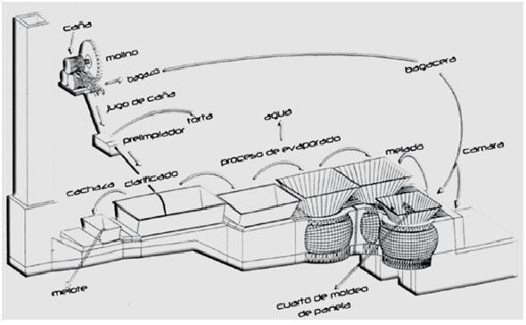 CADENA DE ABASTECIMIENTO DE LA PANELA: Proceso de la Panela