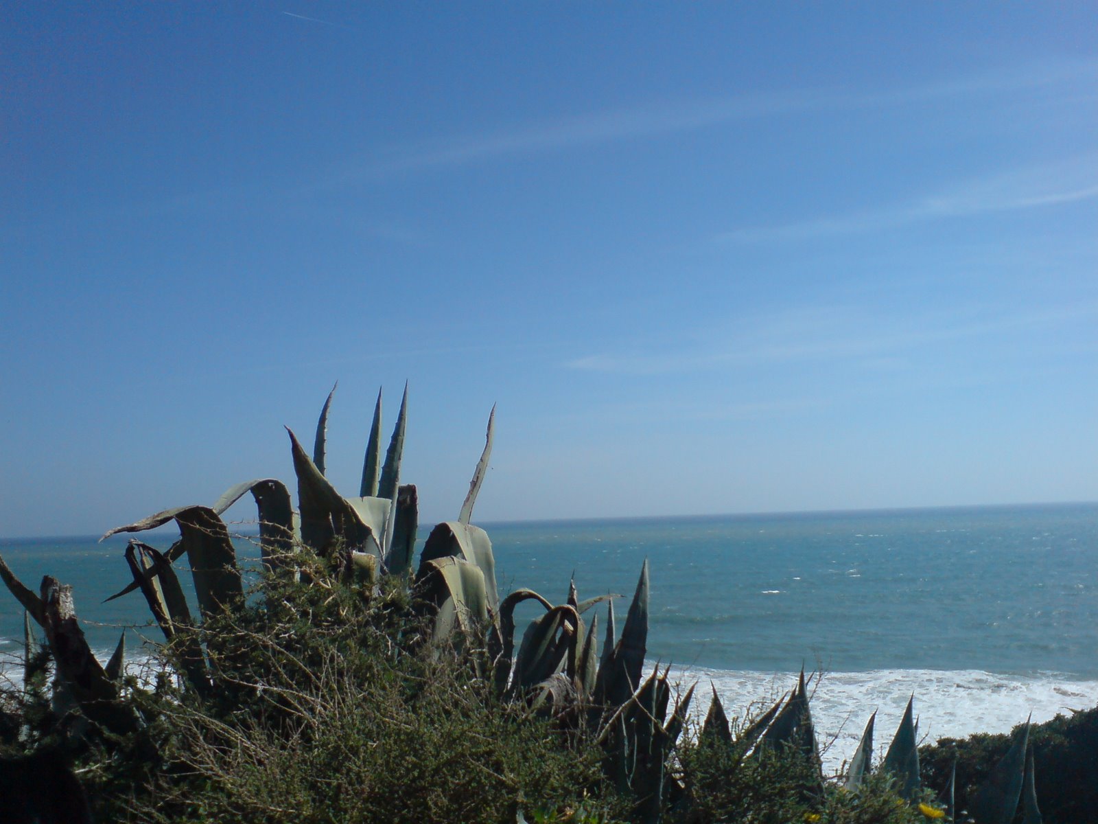 [sueste+março09+003.jpg]