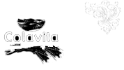 Team Colavita-Parisi