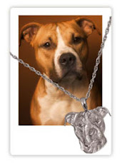 Pet Memorial Jewelry