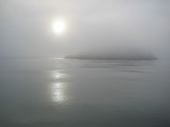 Fog Outside Of Friday Harbor