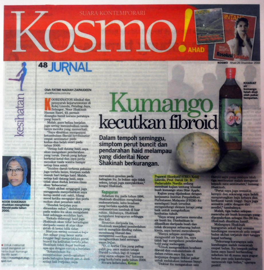 Surat Khabar Metro Raya Aidilfitri 2010