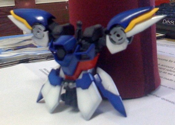 [torso.jpg]