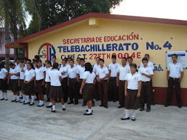 Telebachillerato No. 4