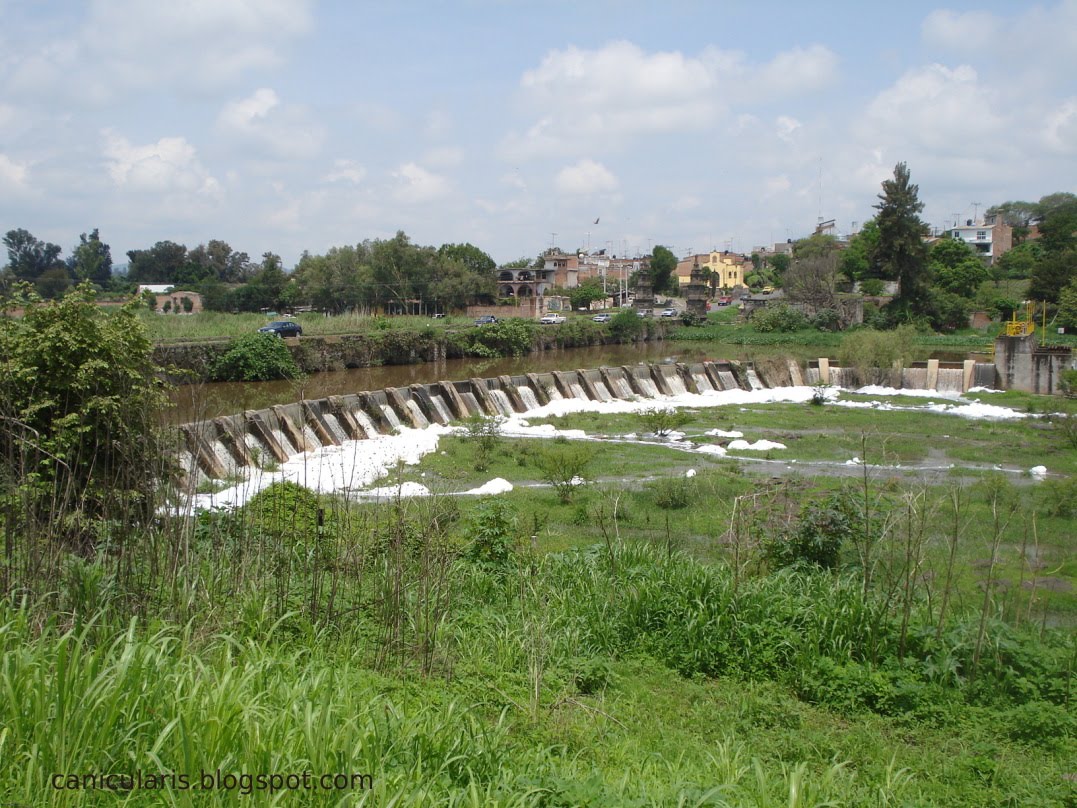 Canicularis: El puente de Puente Grande