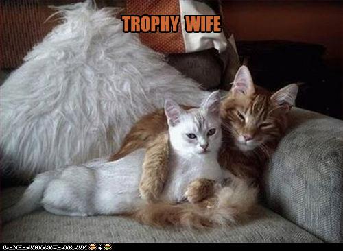 [funny-pictures-cat-has-trophy-wife.jpg]
