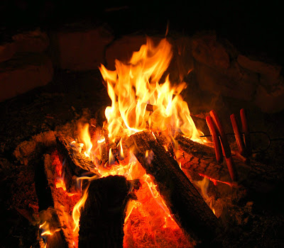 Hot dogs on an open fire