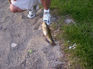 ellicott creek fishing trip wny life