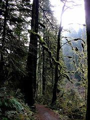 EAGLE CREEK TRAIL OREGON