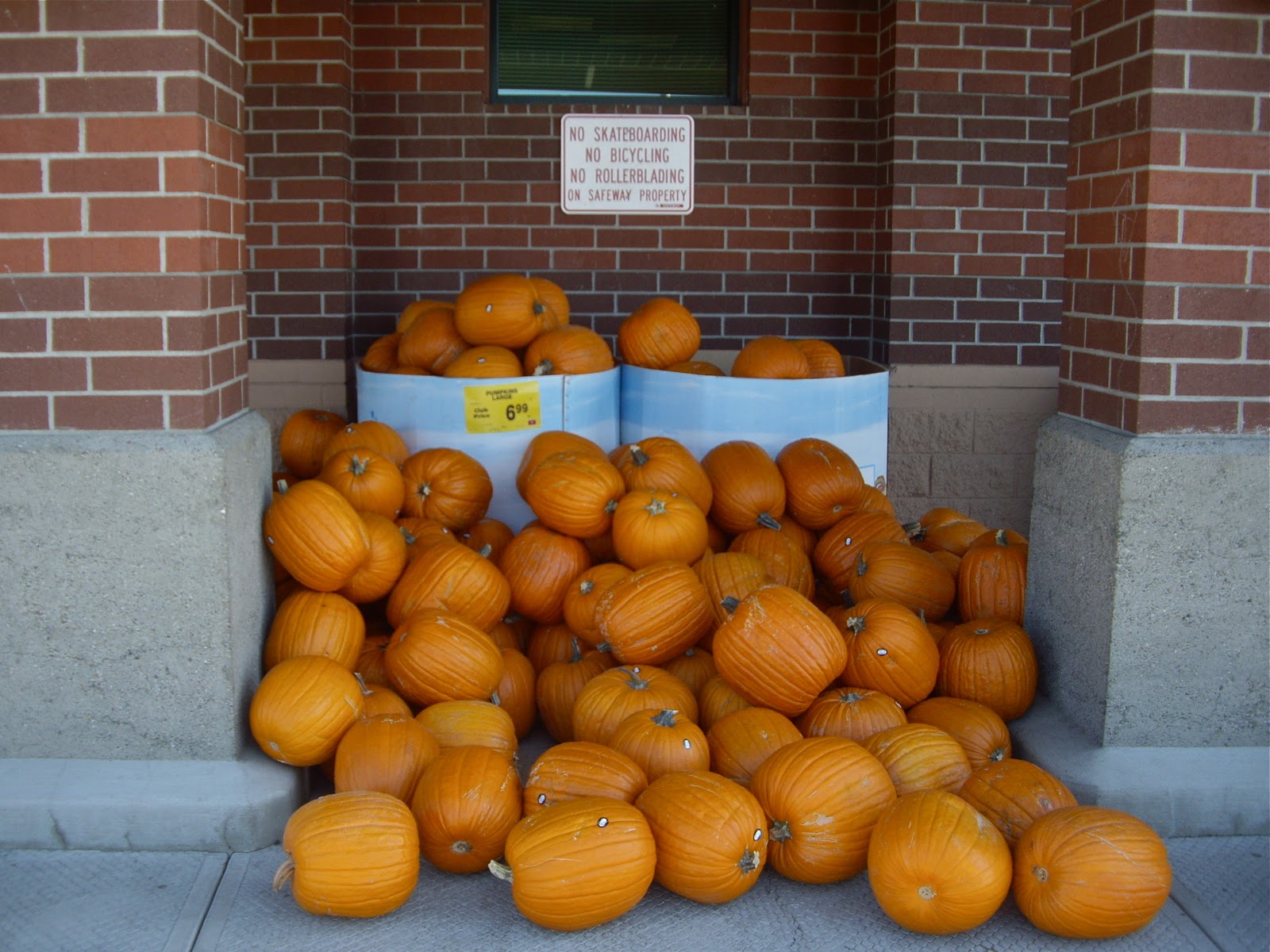 Ellensburg Today Pumpkins at Safeway Grocery Store.