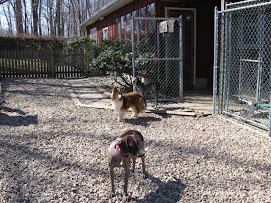 My New NJ Friends!