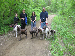 Hiking with my GSP friends