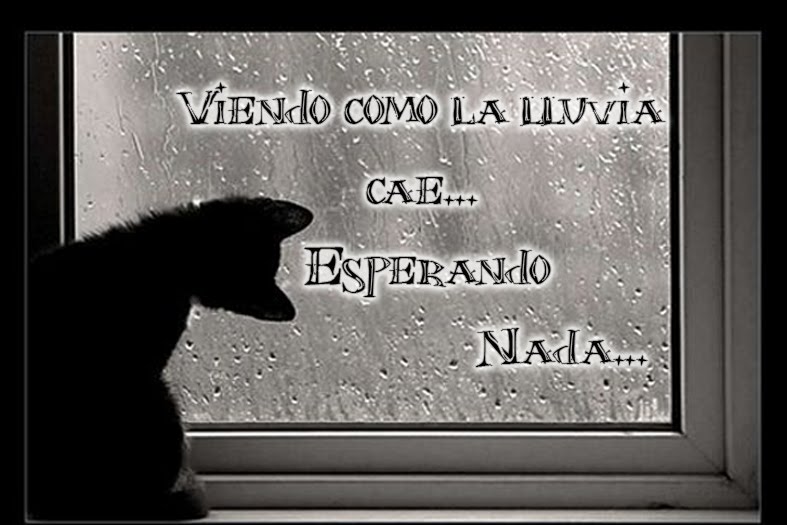 Lluvia...