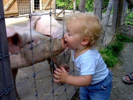 [swine-kiss-blog.jpg]
