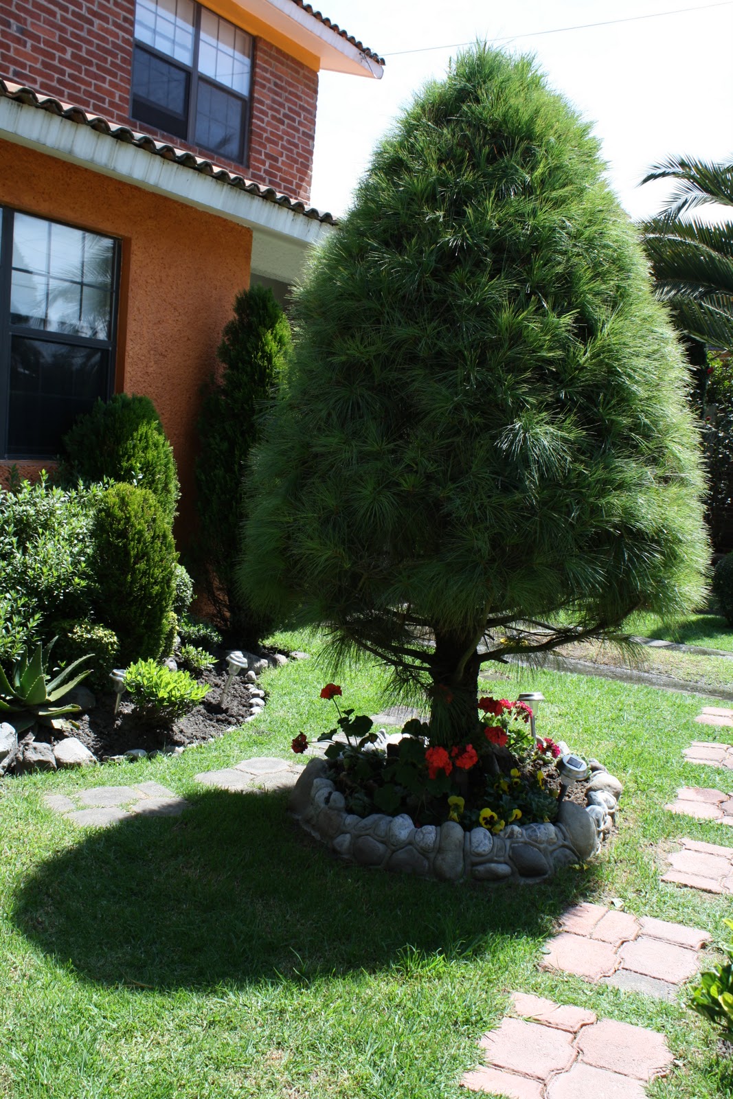 Taller de Imagen: Manejo de luz exterior y exposiciones equivalentes