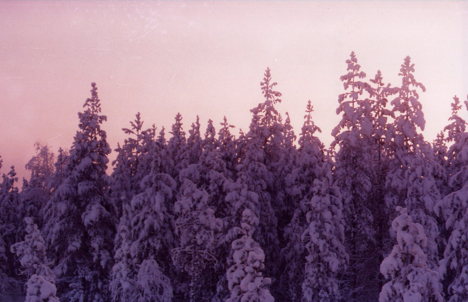 Purple snow. It sometimes (snows/is snowing) here in april отрицательное предложение. Snow in april wolfchild. It sometimes snow in april. It sometimes (snows/is snowing) here in april отрицательное предложение.
