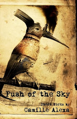 PUSH OF THE SKY