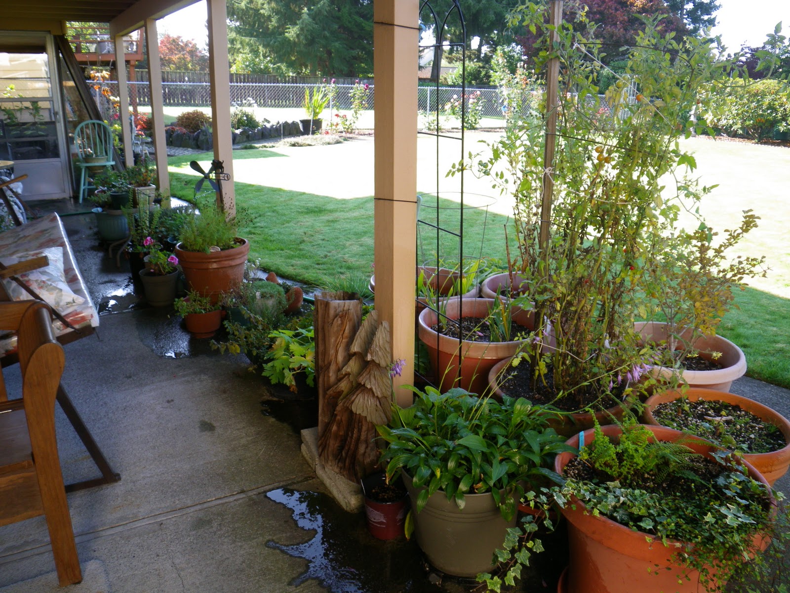 I'm In The Garden Today The Potted Garden