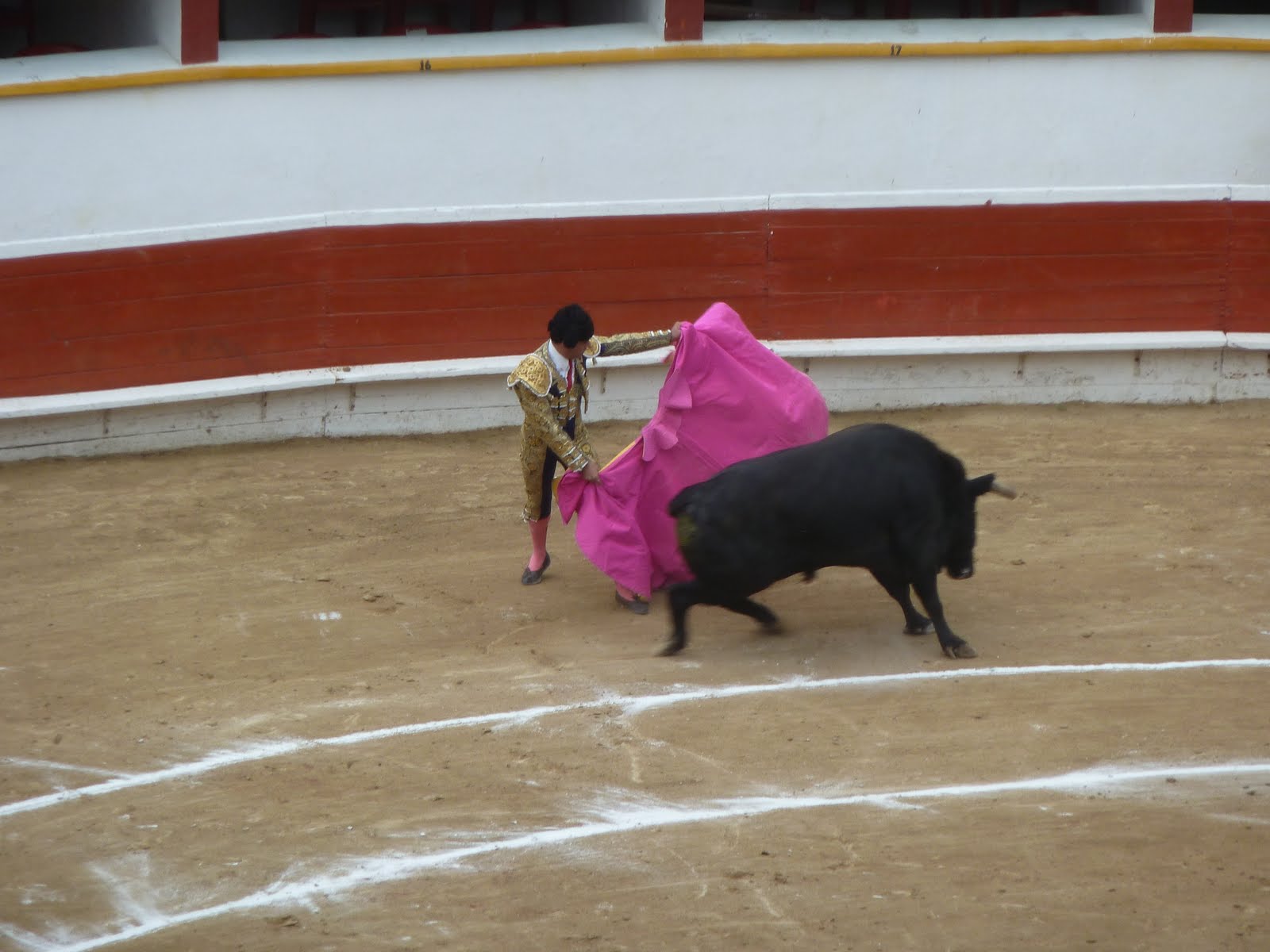 Tijuana Bible The bullfight/La lidia, Plaza Monumental, Playas de Tijuana