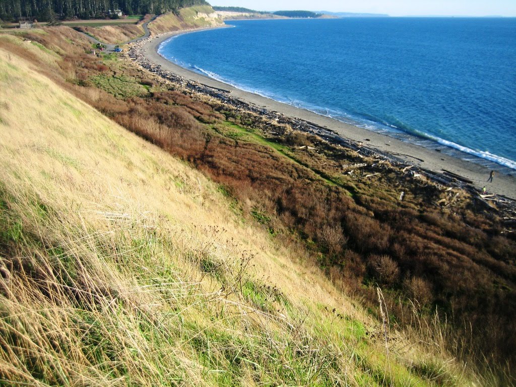 [beachsidepatterns.jpg]