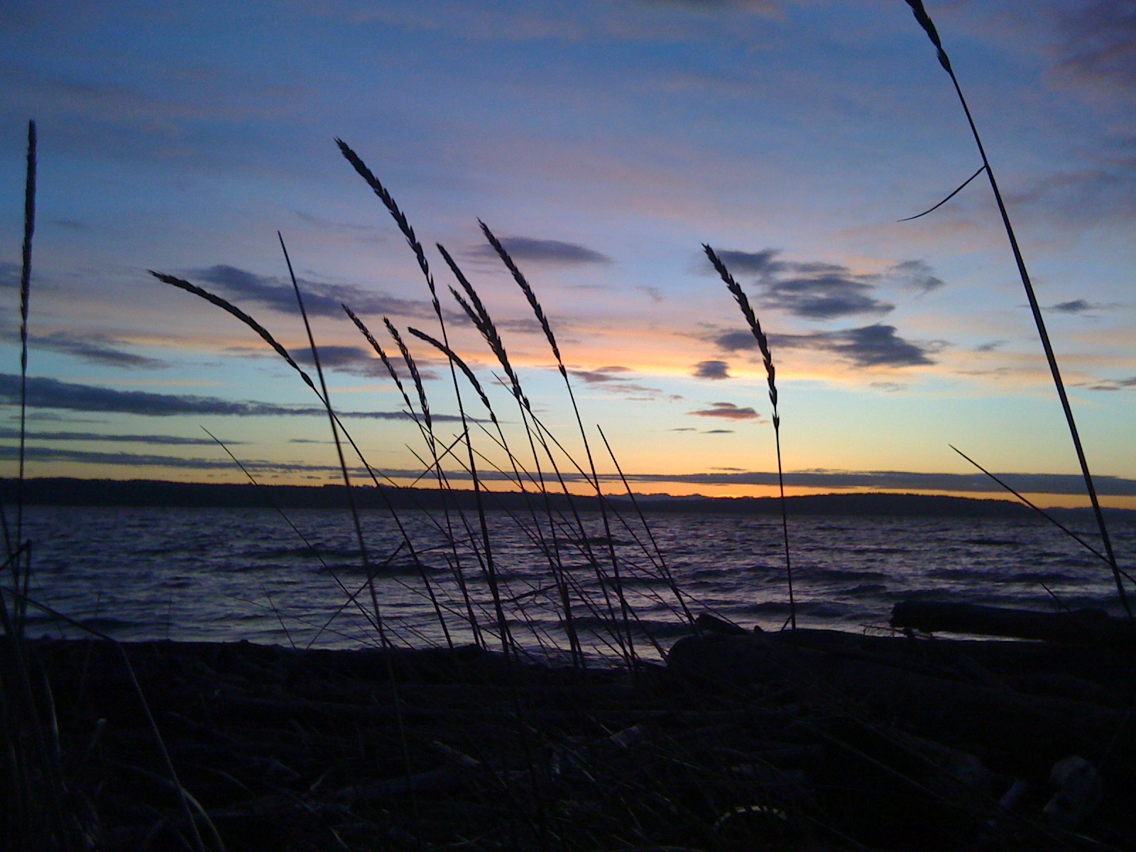 [winterbeach+075.jpg]