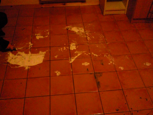 [Foto0084-779829.jpg]