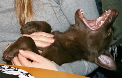 [081116_Yalla_0033.jpg]