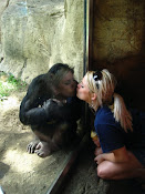 monkey lovin'