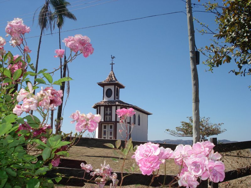 [milho+verde.jpg]