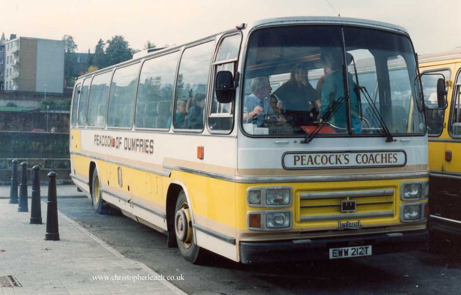 [EWW-212T.Peacock.jpg]