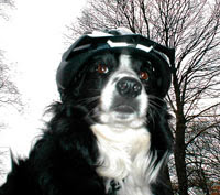 Rivington Rides, Lancashire