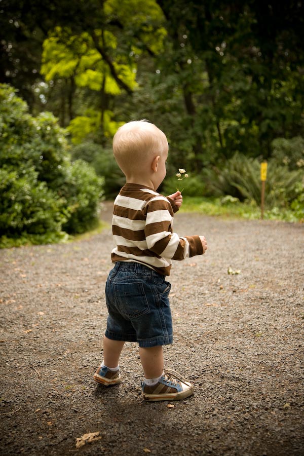 Bryan Rupp Photography Sweet Baby Taylor (and her fan club) Eugene, OR