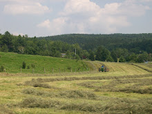 Doing Hay