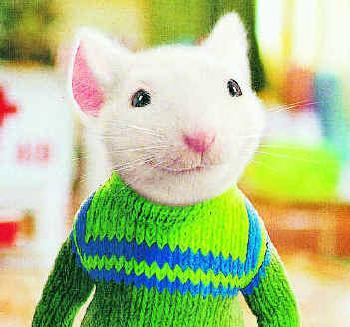 enchanted schoolhouse what s the big deal about stuart little